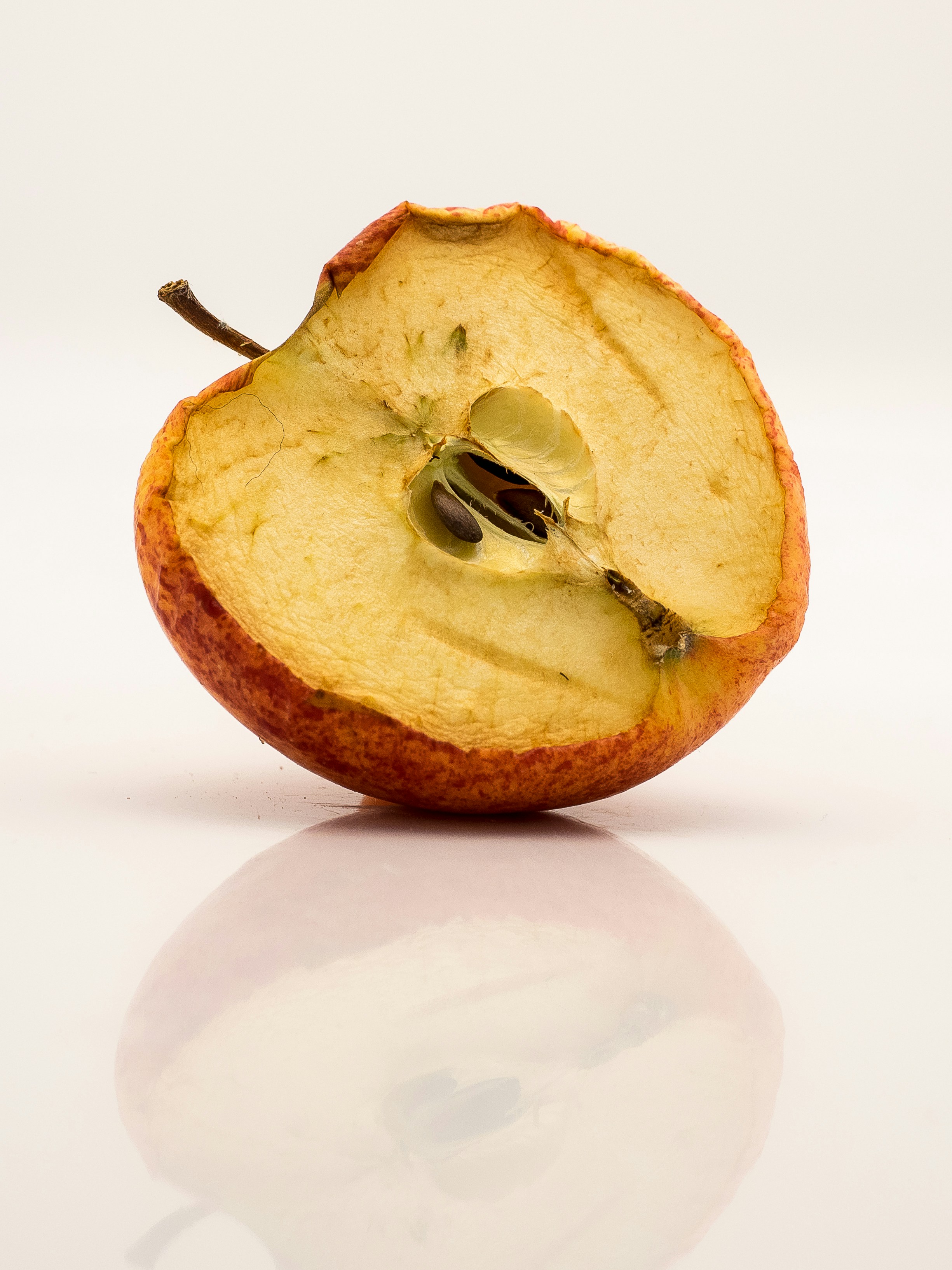 Free Unsplash photo from Rico Bico