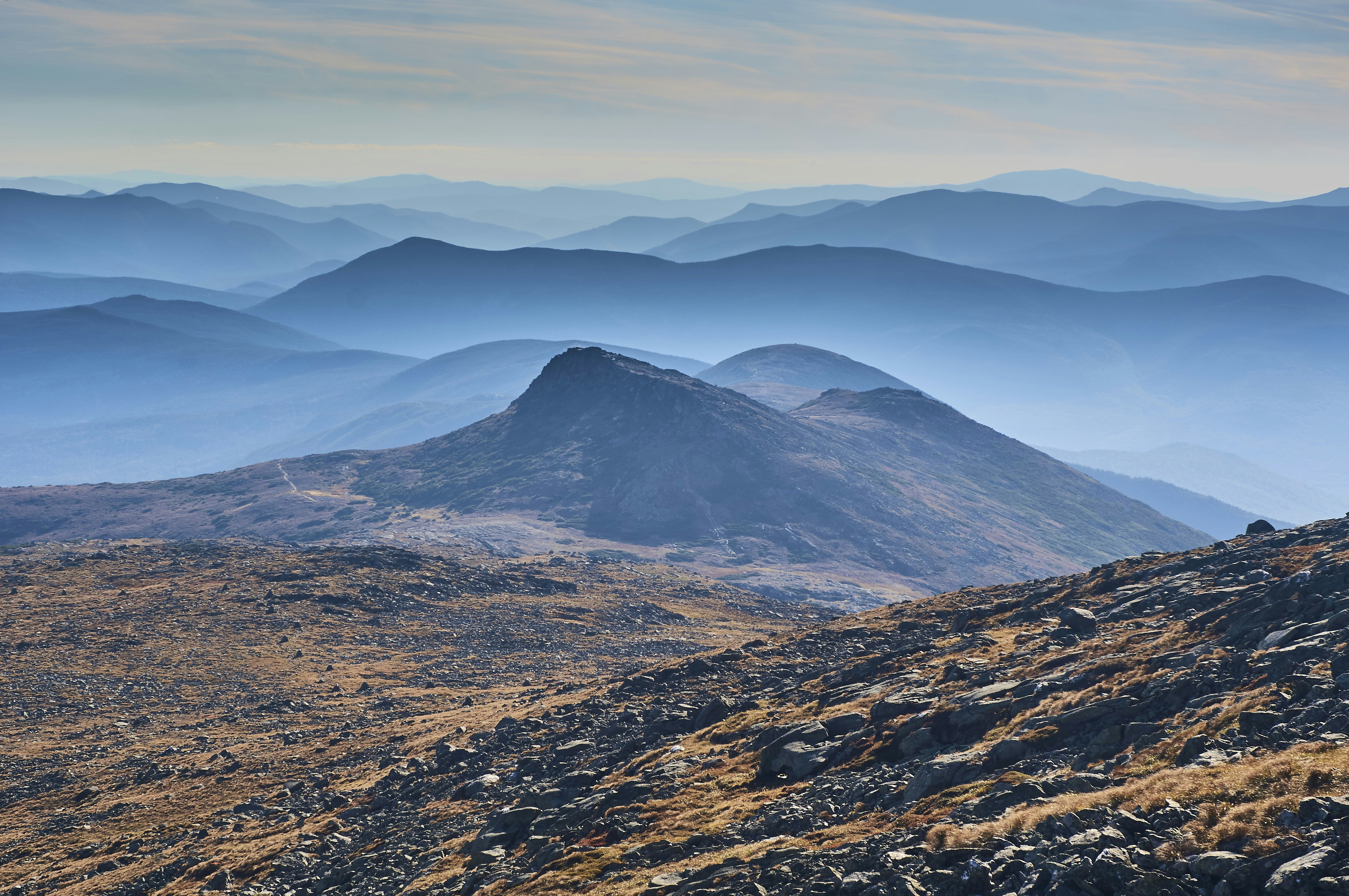 Free Unsplash photo from Dmitry Dreyer