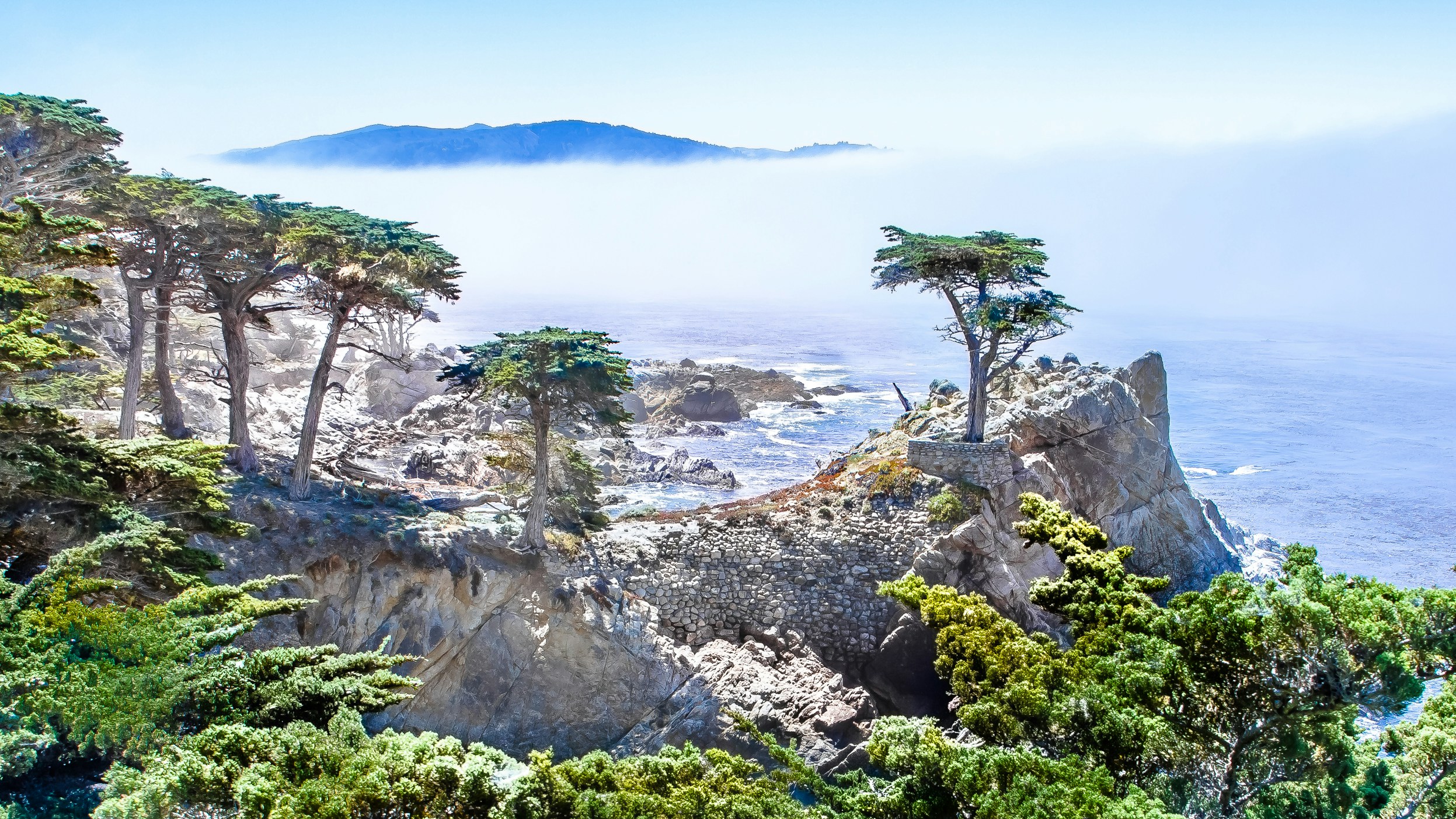 Free Unsplash photo from Thenhan Ngo