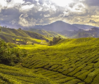 landscape photography of mountain