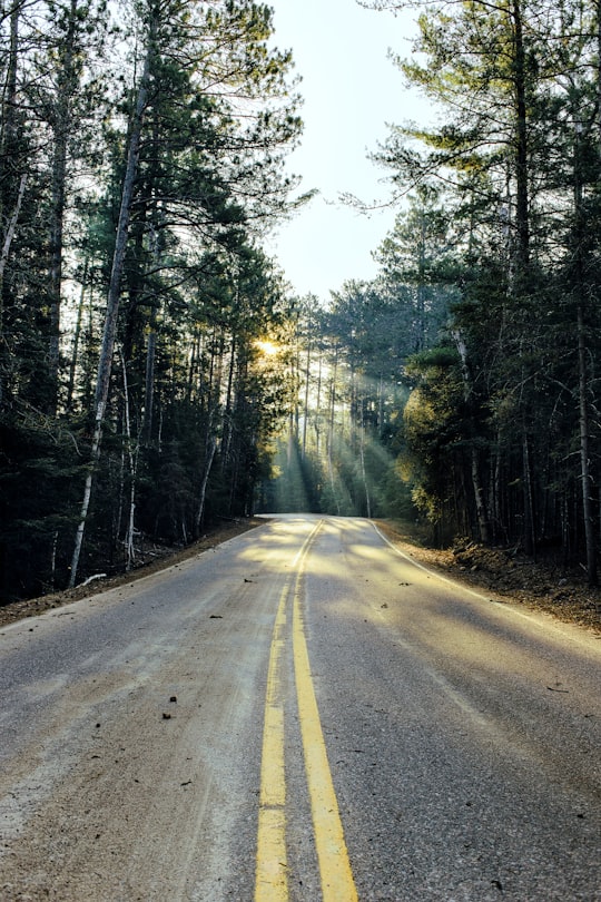 road surrounded with trees in Bear Head State Park Road United States