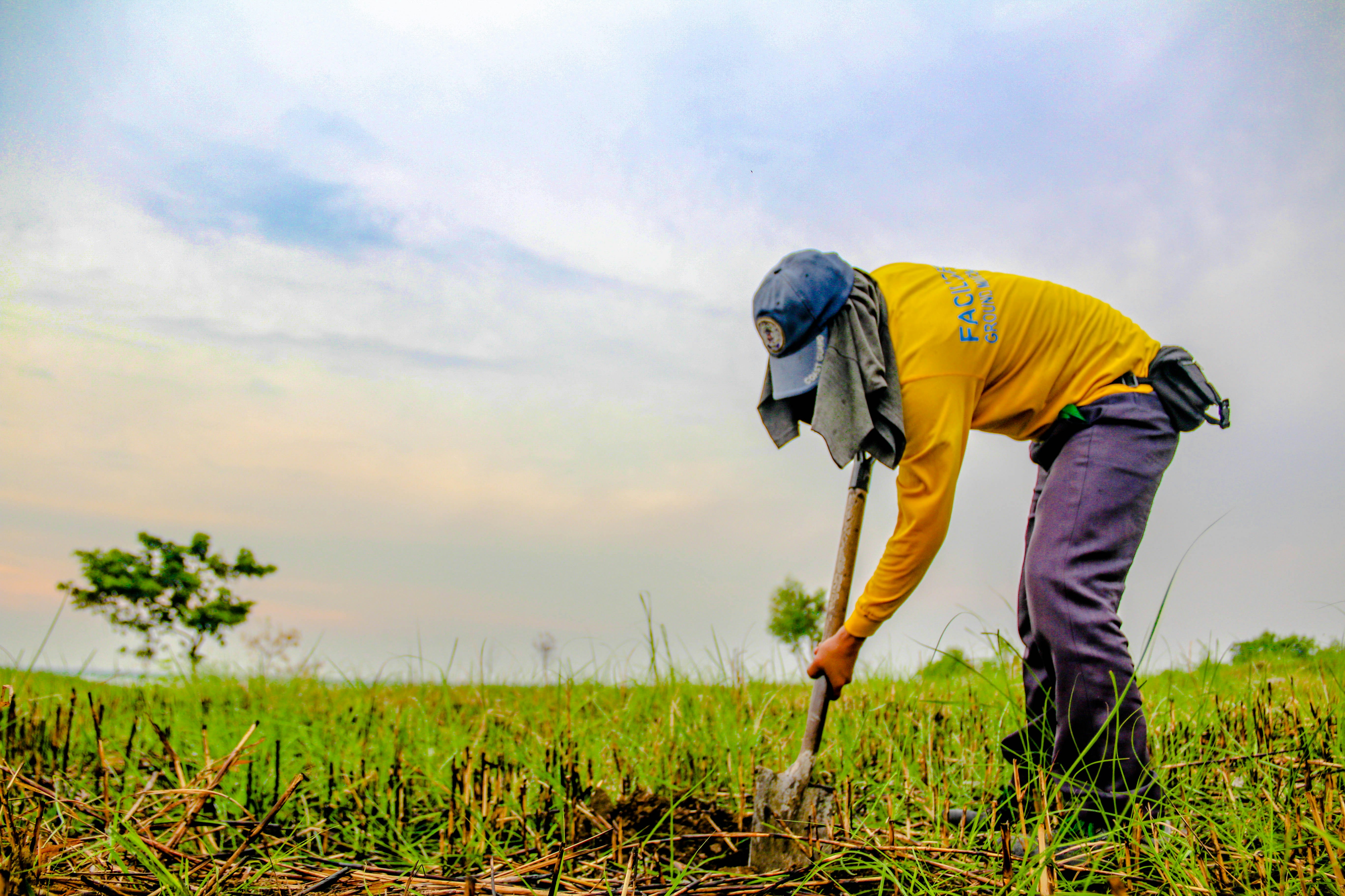 Free Unsplash photo from Raymond Lee