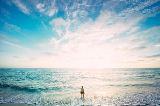 photo of La Jolla Beach near USS Midway Museum