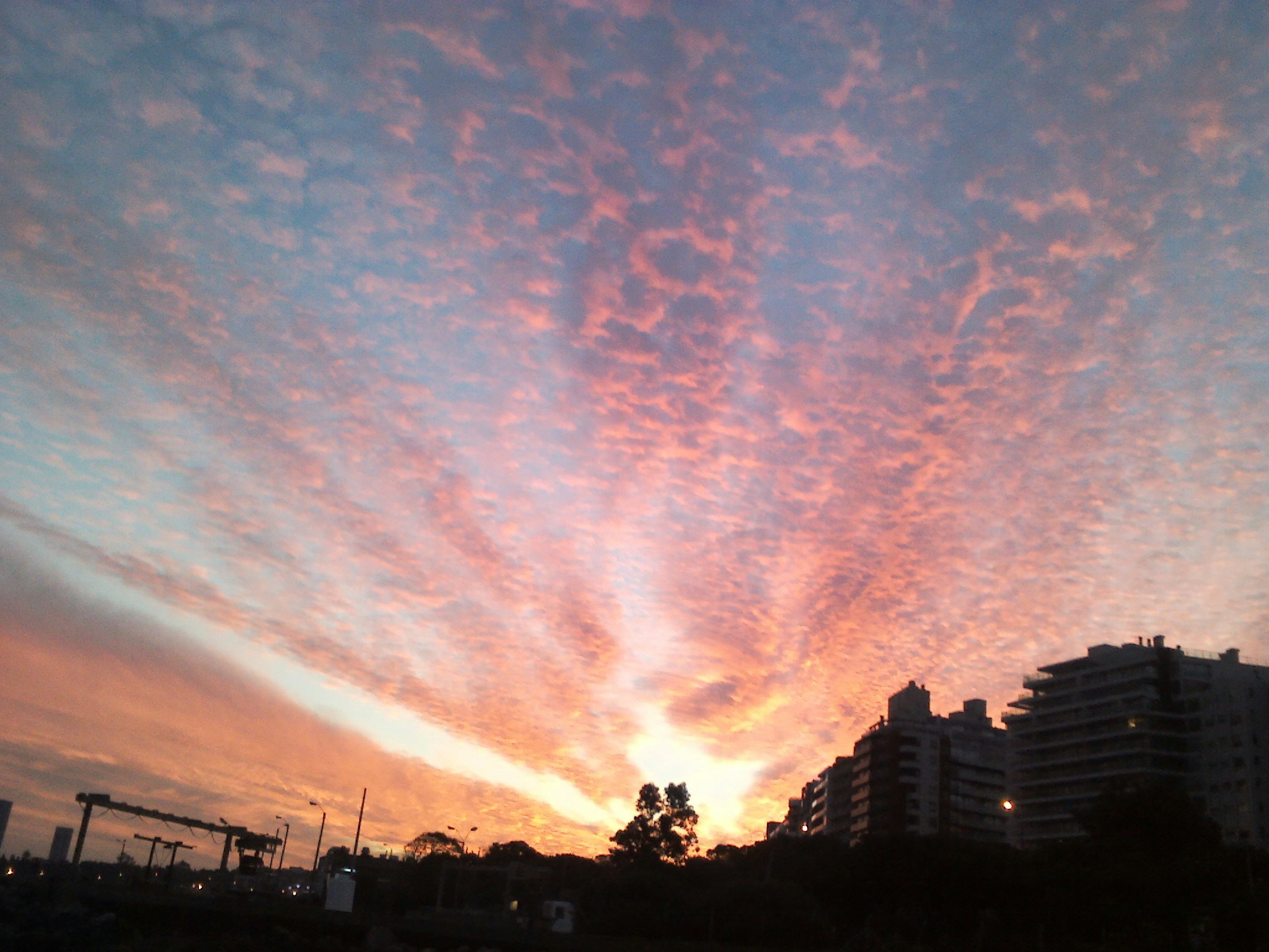 Free Unsplash photo from Bruno Carrasco