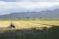 A vast agricultural field with a tractor working on the land. Rows of freshly plowed earth stretch across the horizon, bordered by a line of trees and distant mountains under a partly cloudy sky.