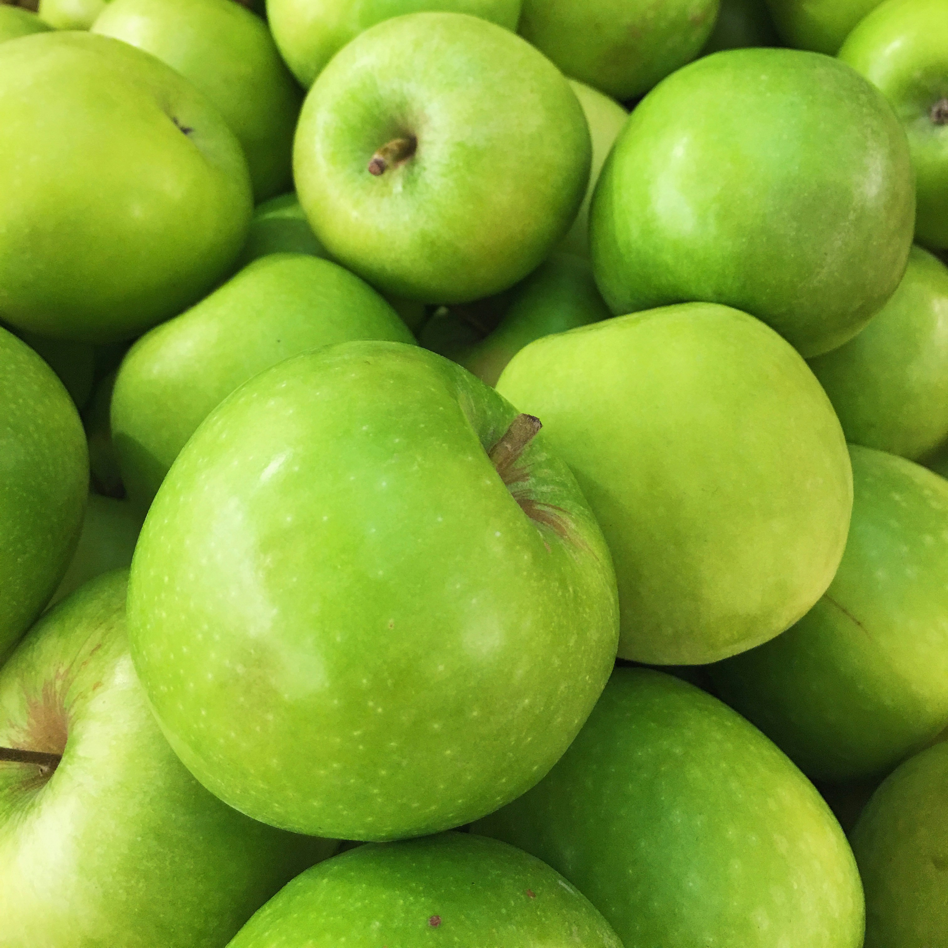 Free Unsplash photo from Chee Siong Teh