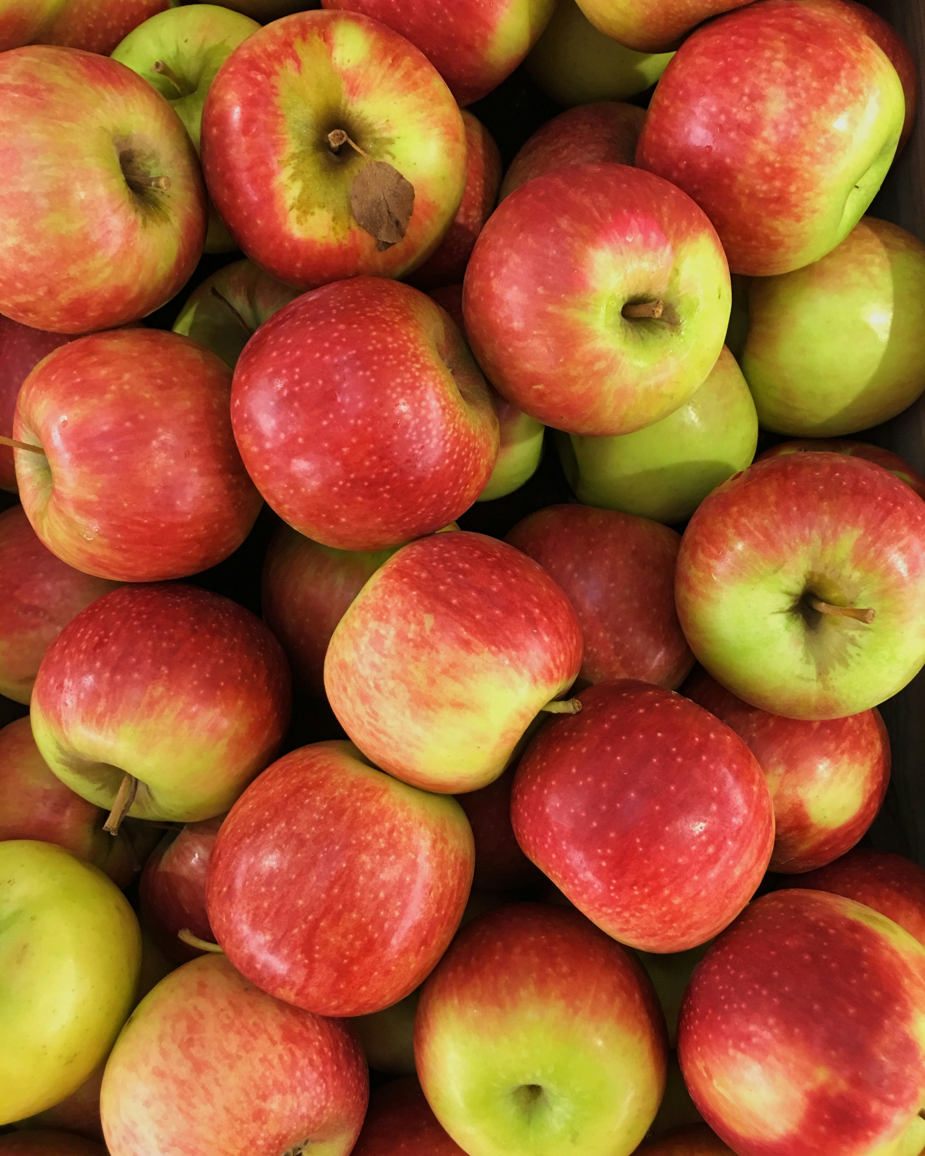 Free Unsplash photo from Chee Siong Teh