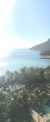 Scenic view of the tropical beaches of Hainan with clear blue waters and palm trees.