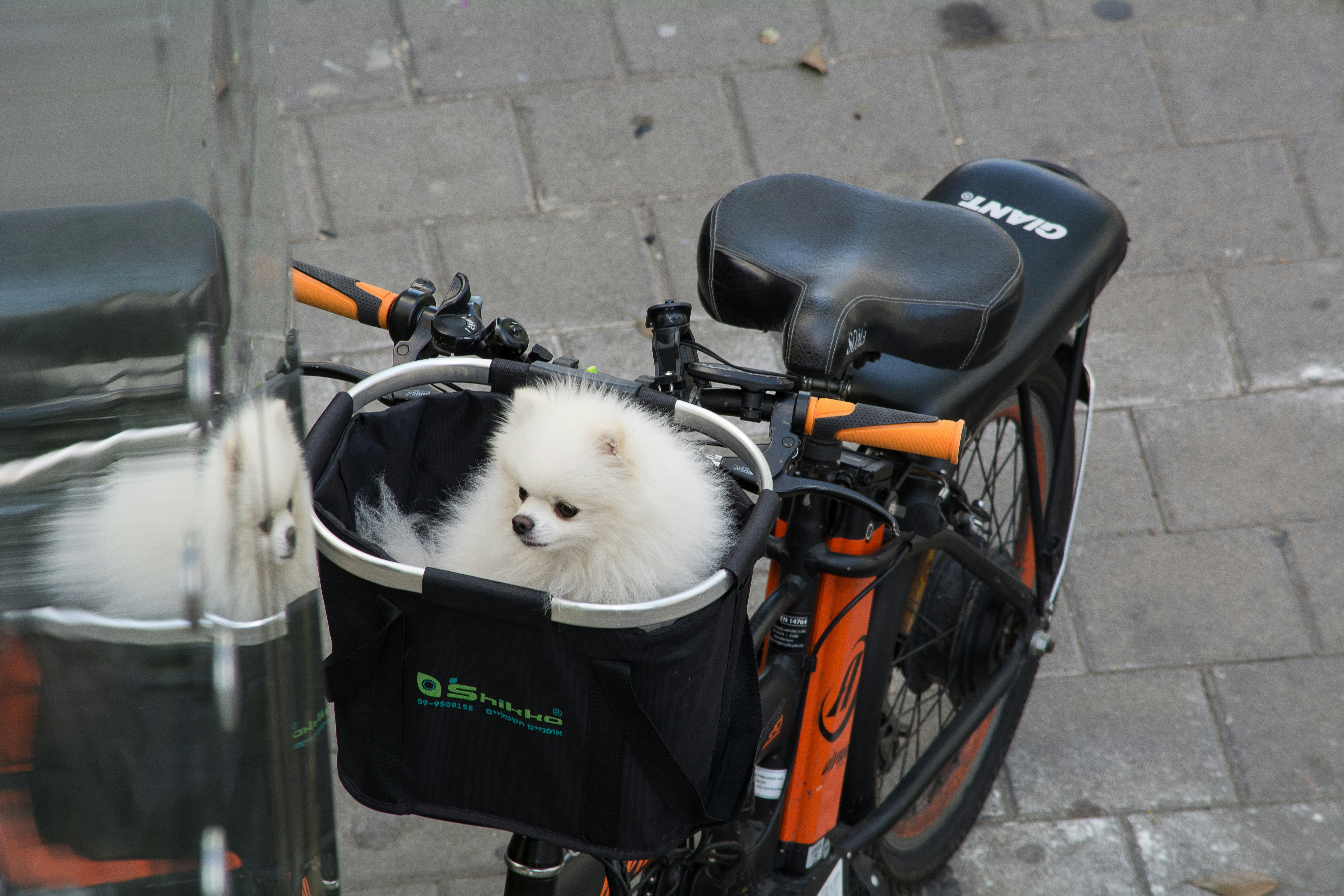 Free Unsplash photo from Josh Adamski