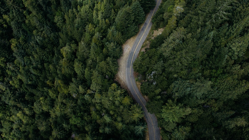 Fotografía aérea de una carretera asfaltada rodeada de árboles