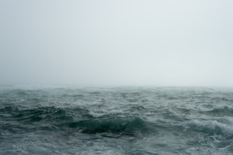 body of water surrounded by fog