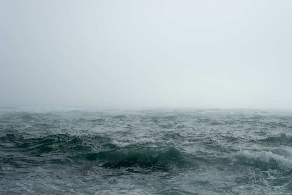 body of water surrounded by fog