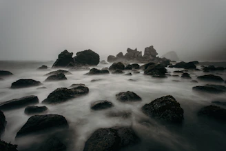 Soft-focus photograph of a misty Cornish coastline at dawn, evoking solitude and calm.