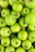 Vibrant green apples neatly arranged in premium packaging with a gold-accented label.