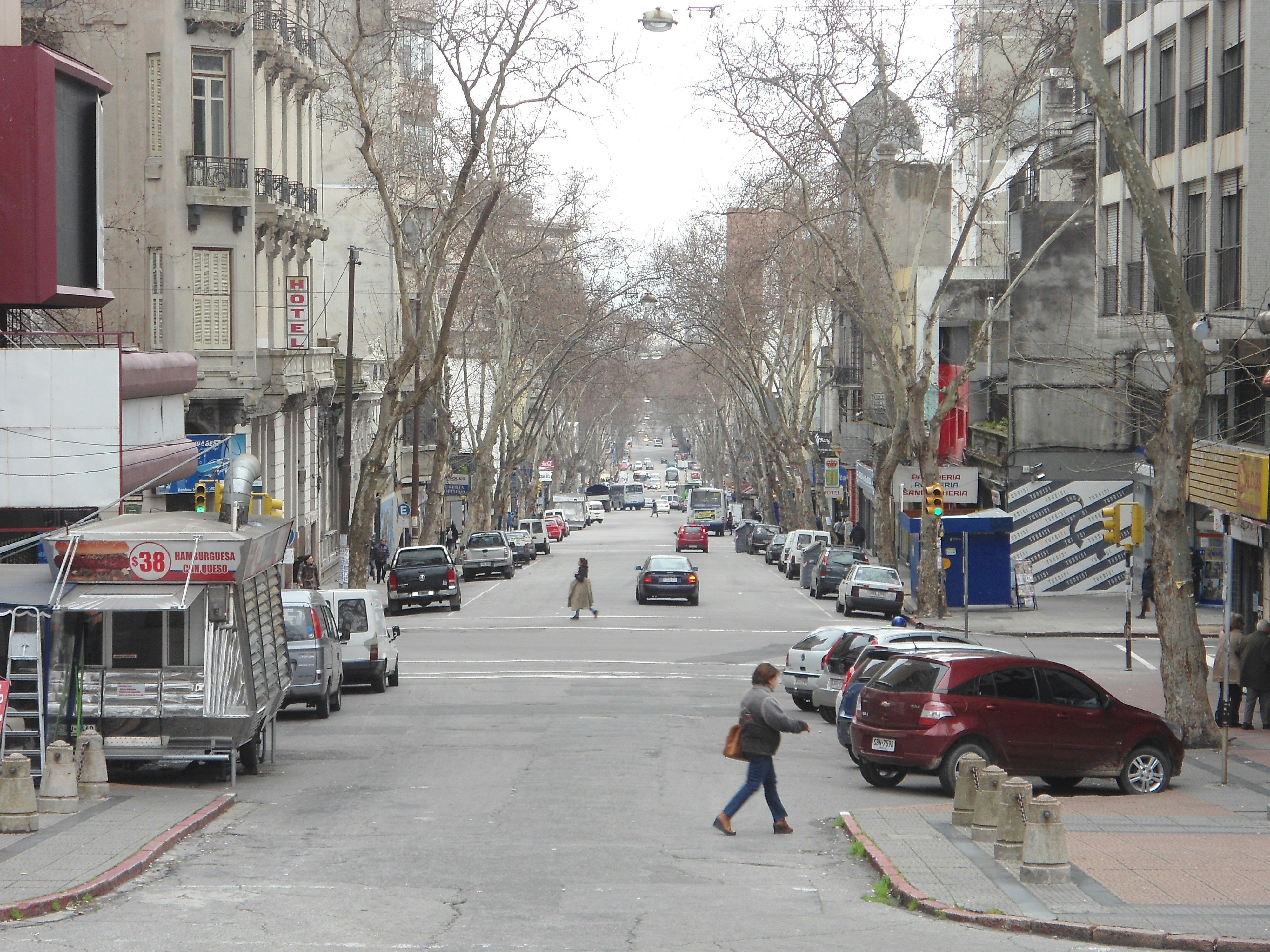 Free Unsplash photo from Bruno Carrasco