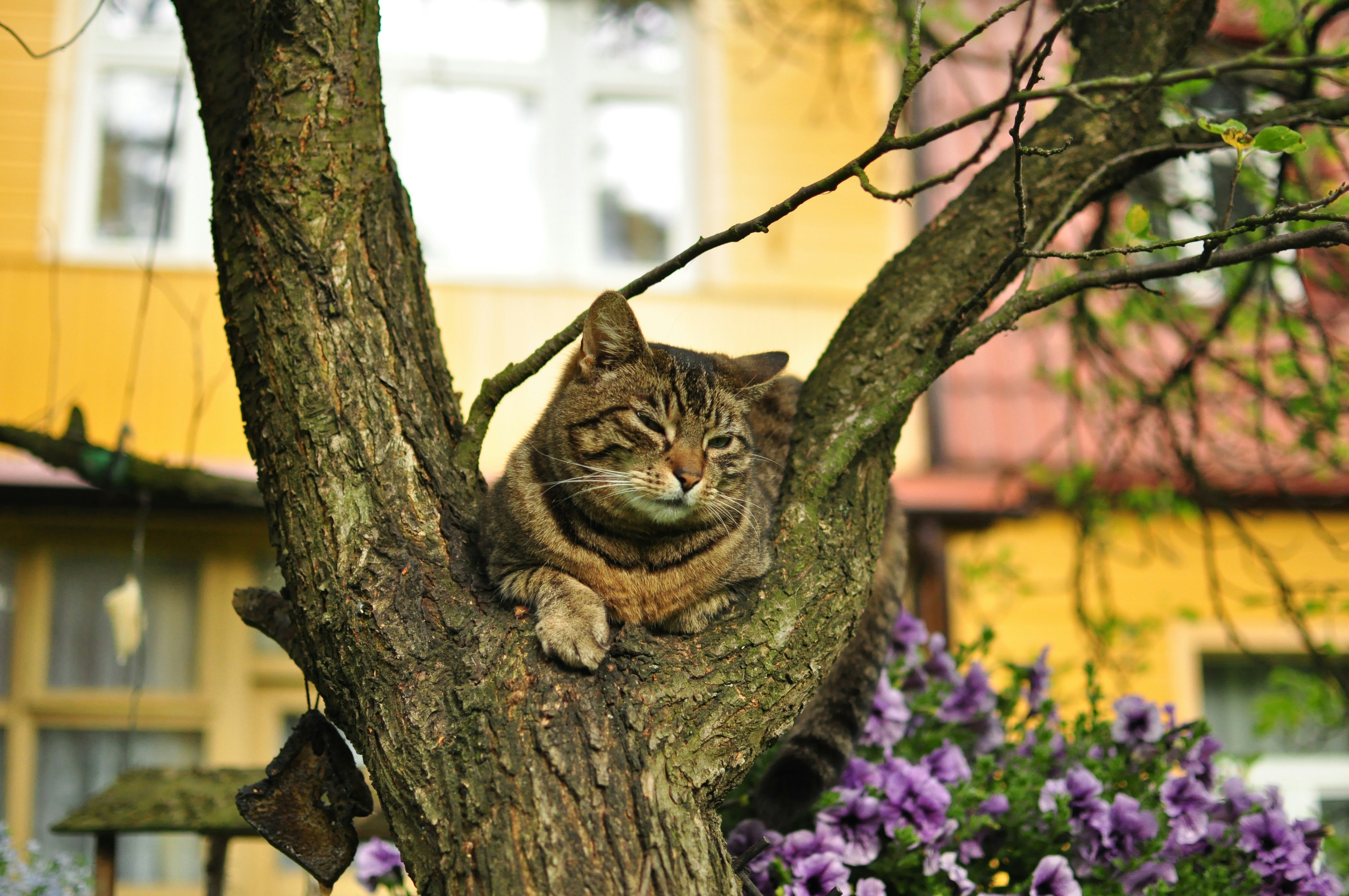 Free Unsplash photo from Małgorzata Kurowska