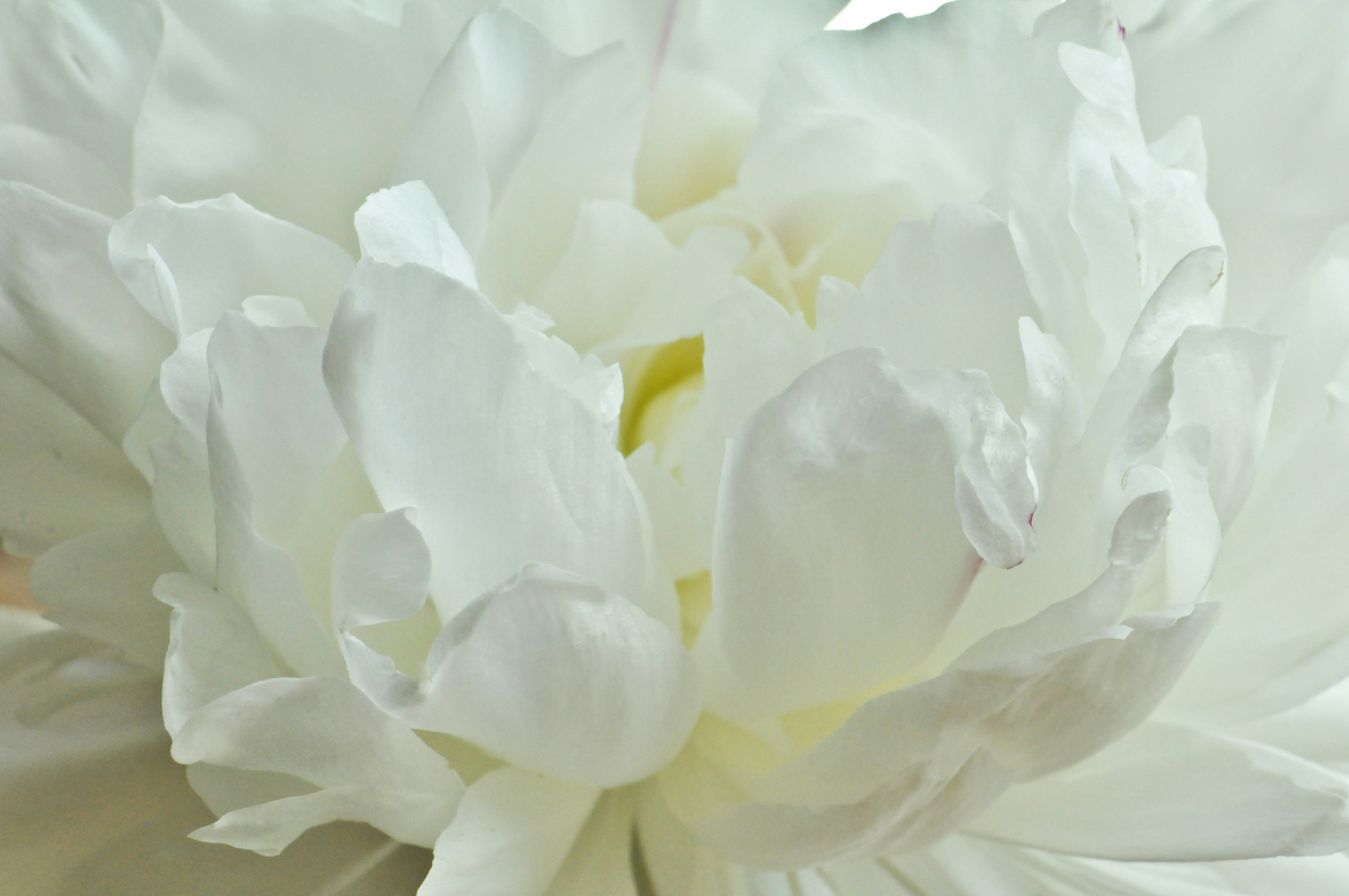 Free Unsplash photo from Małgorzata Kurowska