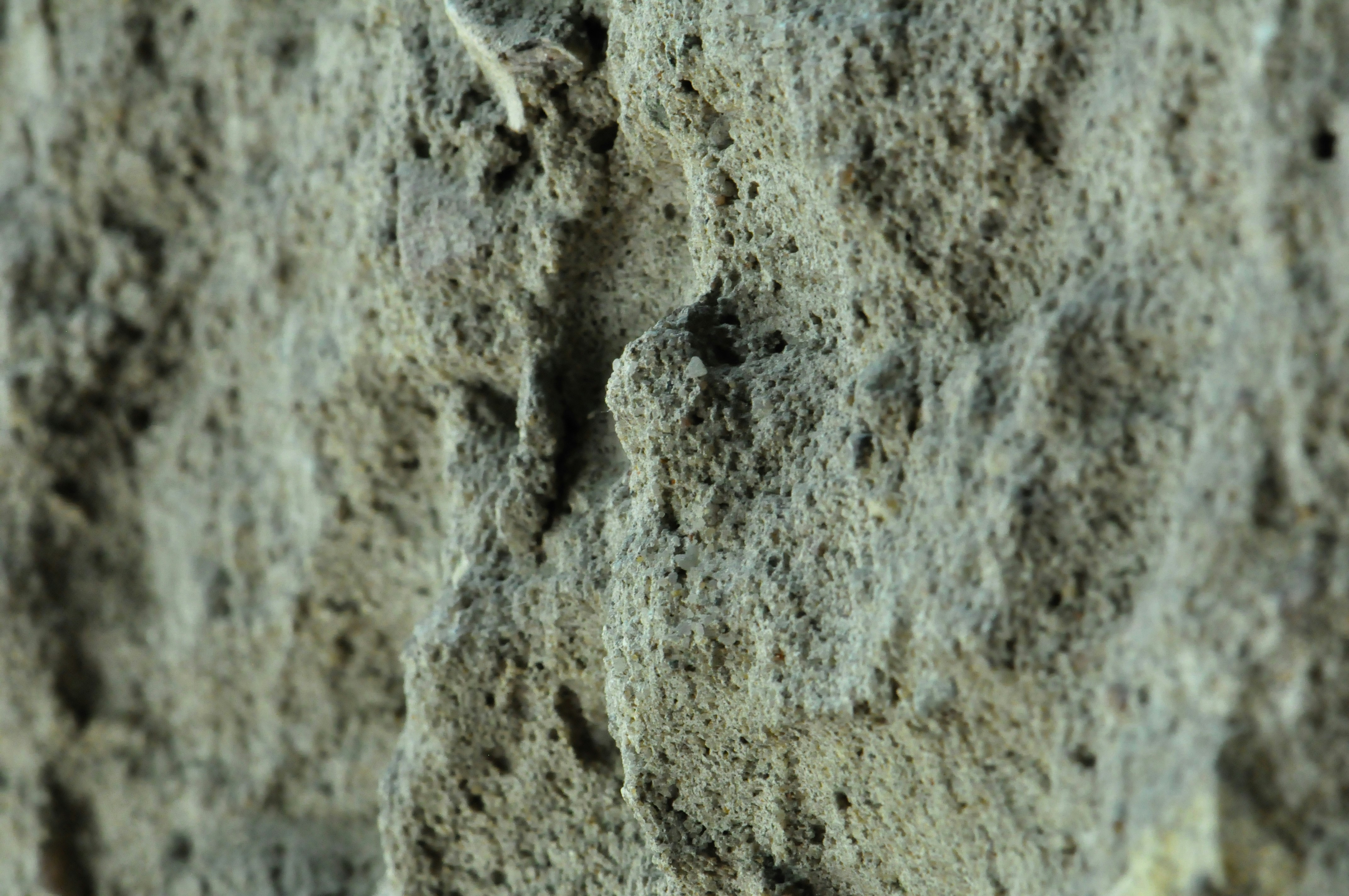 Free Unsplash photo from Małgorzata Kurowska