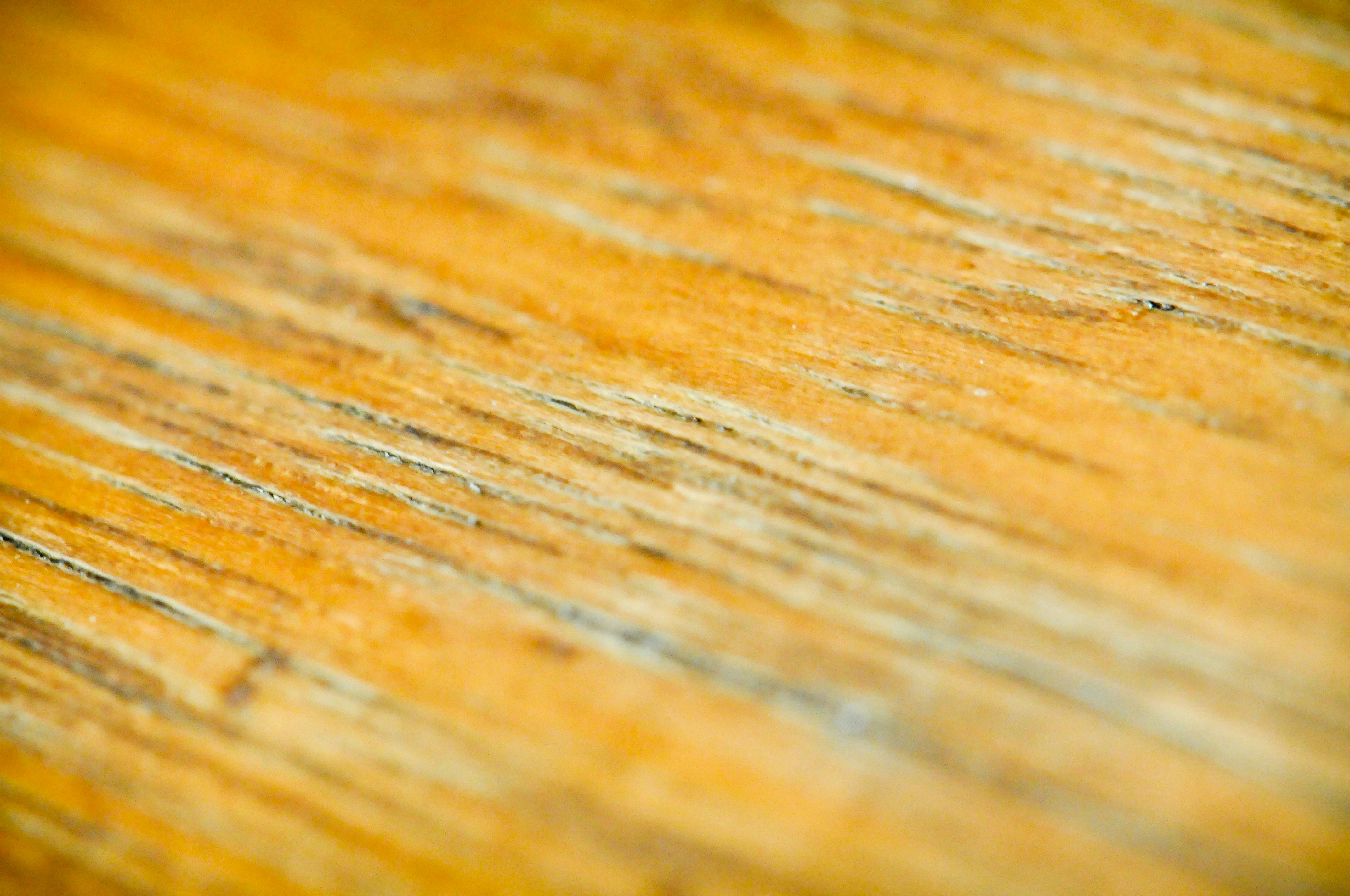 Free Unsplash photo from Małgorzata Kurowska