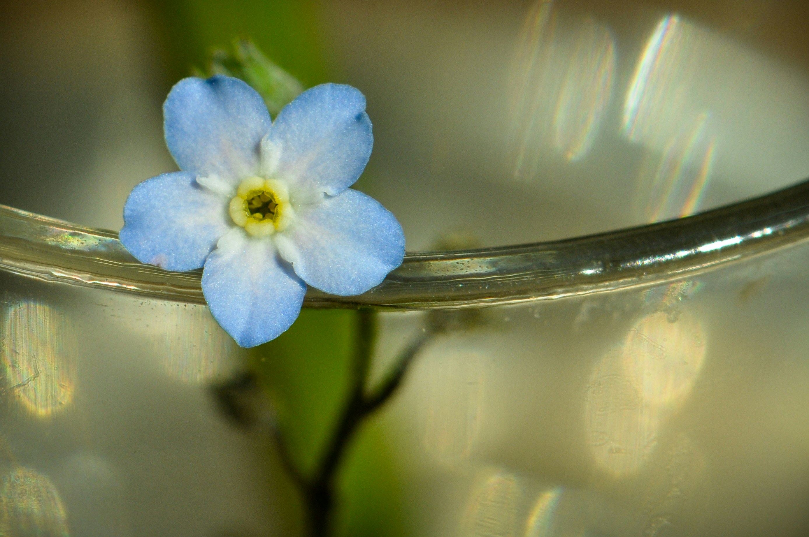 Free Unsplash photo from Małgorzata Kurowska