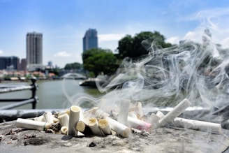 A collection of cigarette butts lies on a ledge with smoke rising from them. In the background, a river, buildings, and trees can be seen under a clear blue sky.