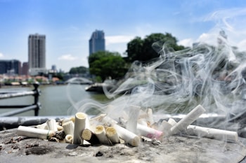 A collection of cigarette butts lies on a ledge with smoke rising from them. In the background, a river, buildings, and trees can be seen under a clear blue sky.