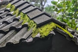 Before and after shots of a roof cleaning and moss removal in Nans-les-Pins.