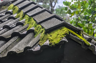 A close-up view of a roof with wavy tiles, partially covered in vibrant green moss. The moss grows in patches along the ridges of the tiles. In the background, blurred green leaves and a cloudy sky are visible.