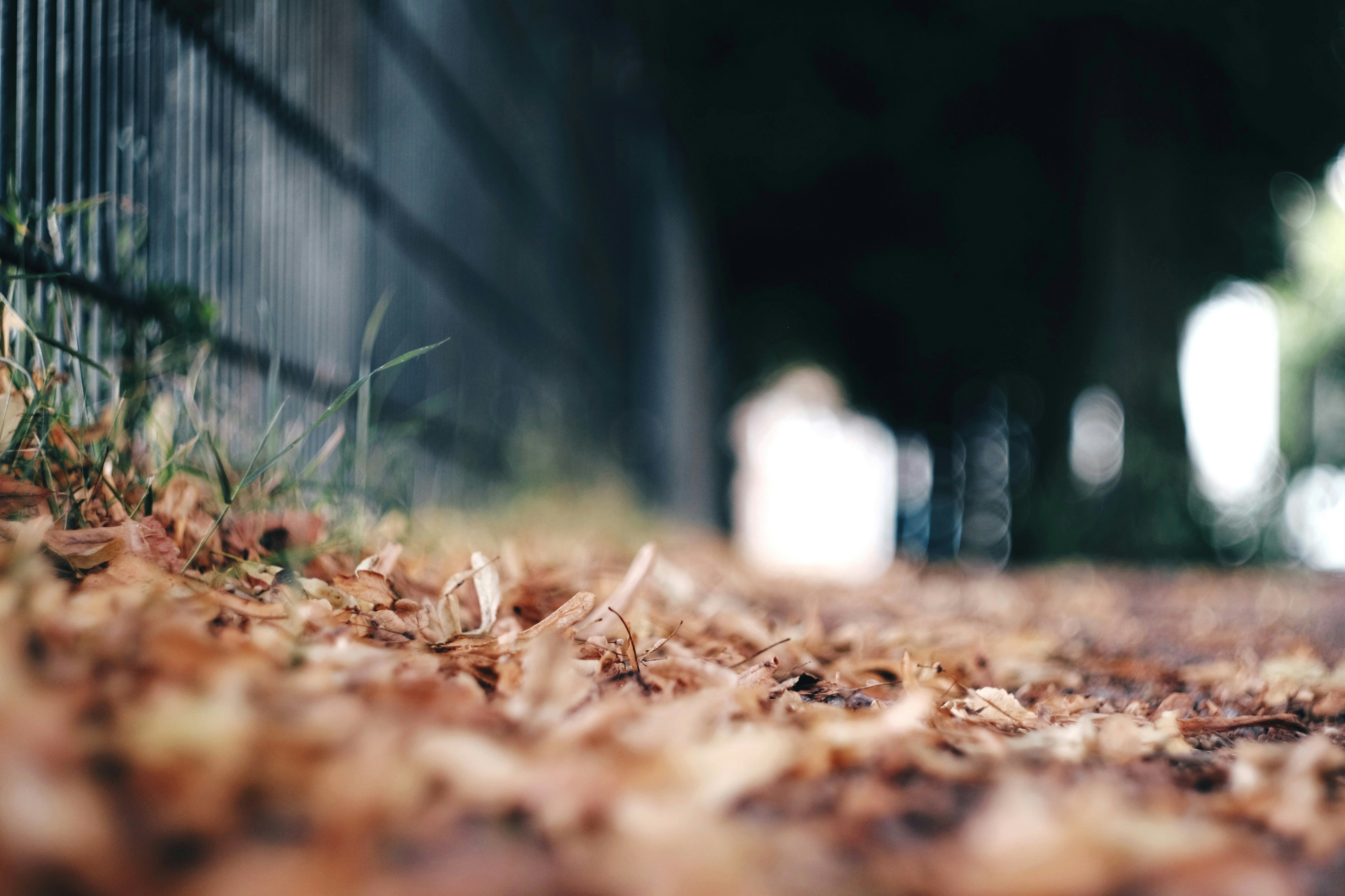 Free Unsplash photo from Johannes Billey