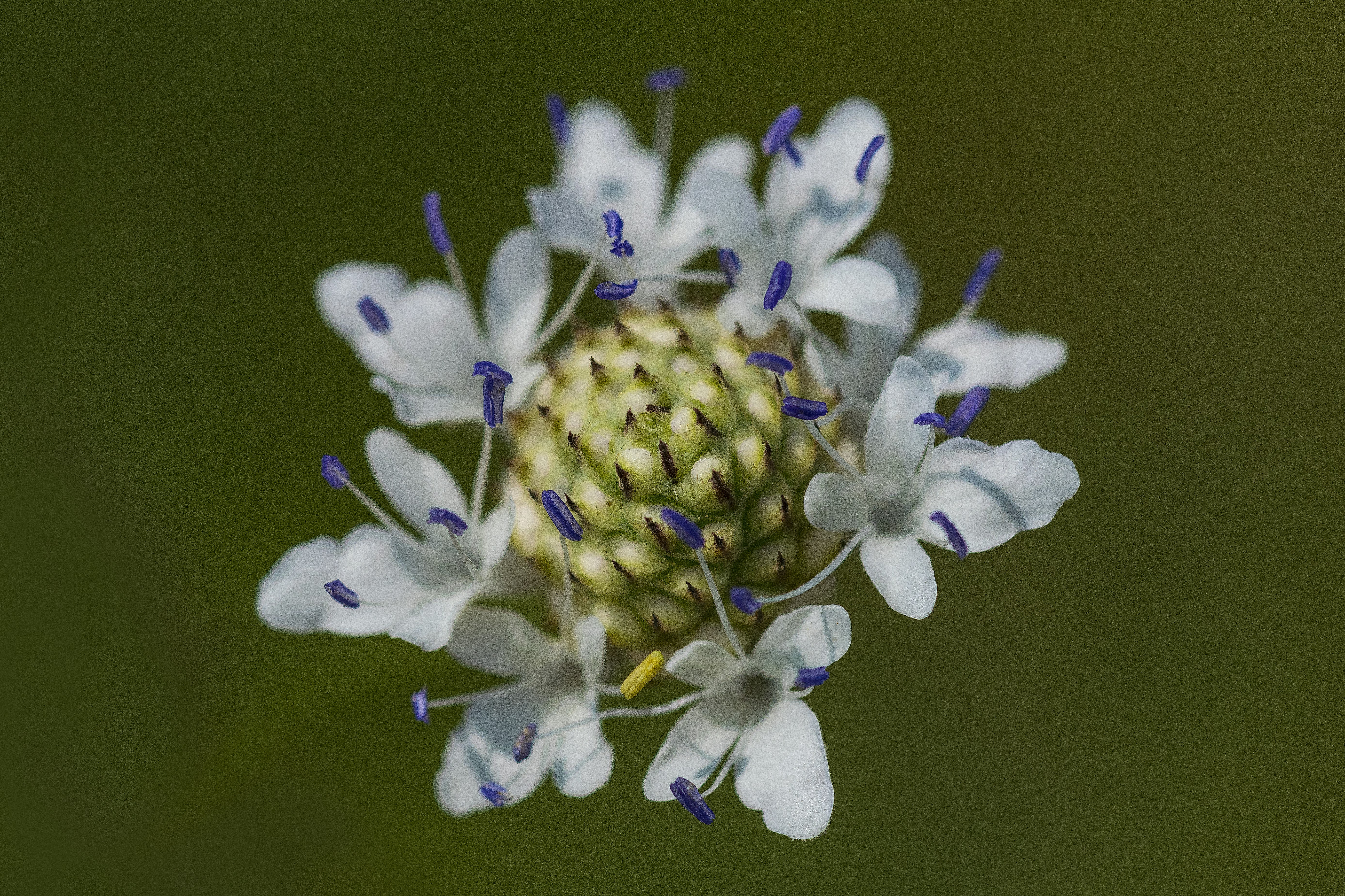 Free Unsplash photo from Tudor Panait