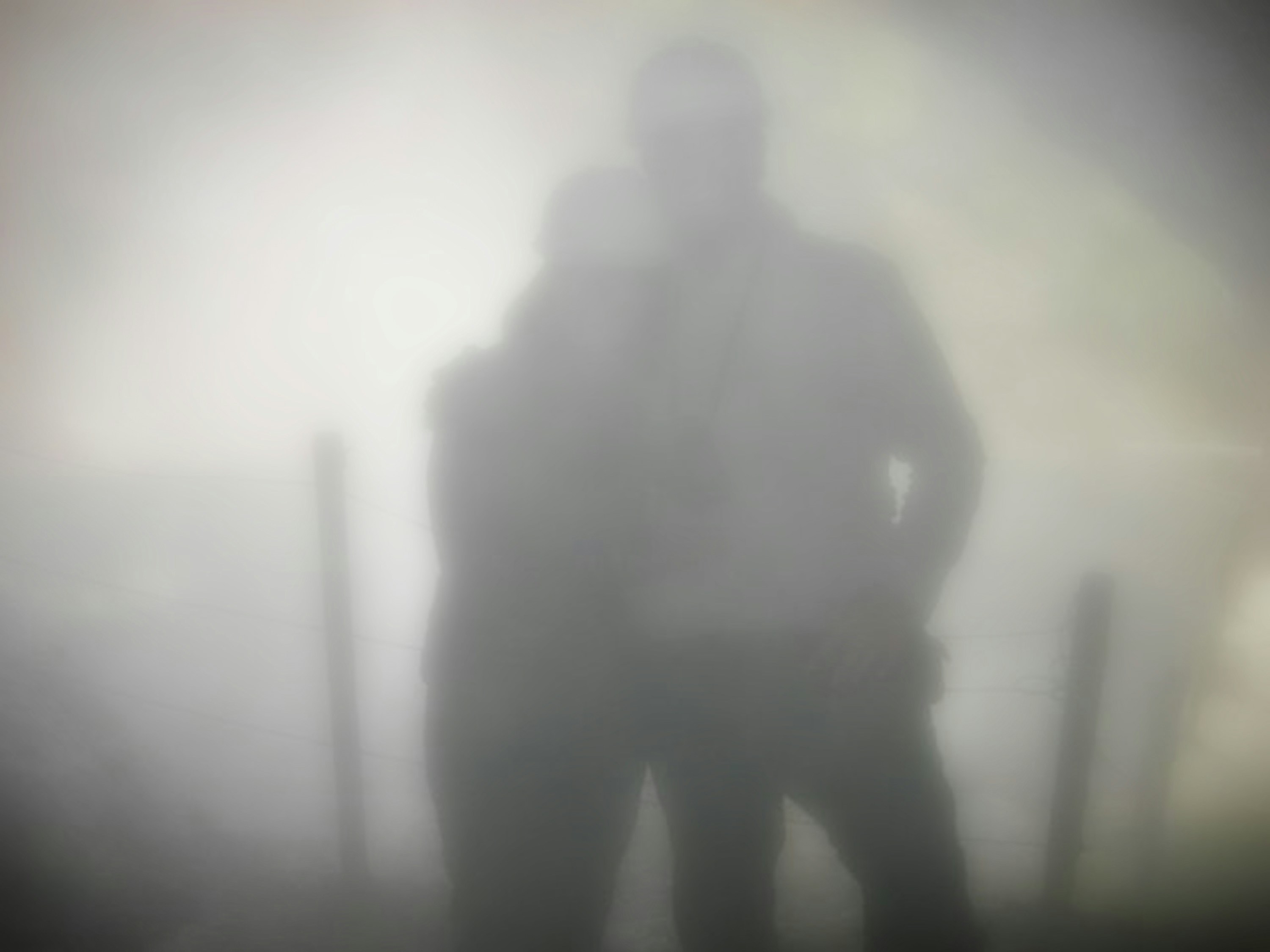 Free Unsplash photo from Marcelo Hernán Arre Márfull