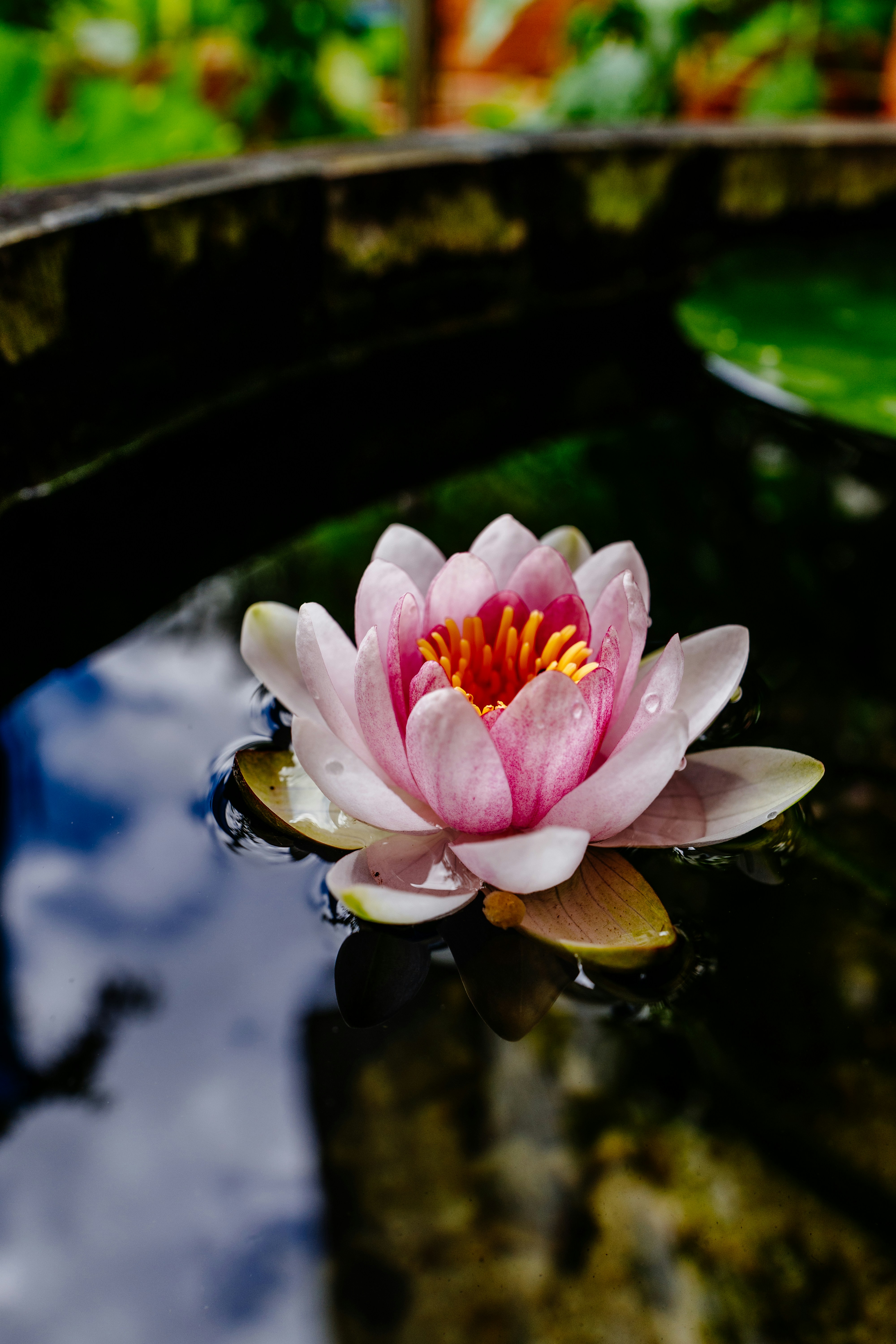 Free Unsplash photo from Bruno Raffa