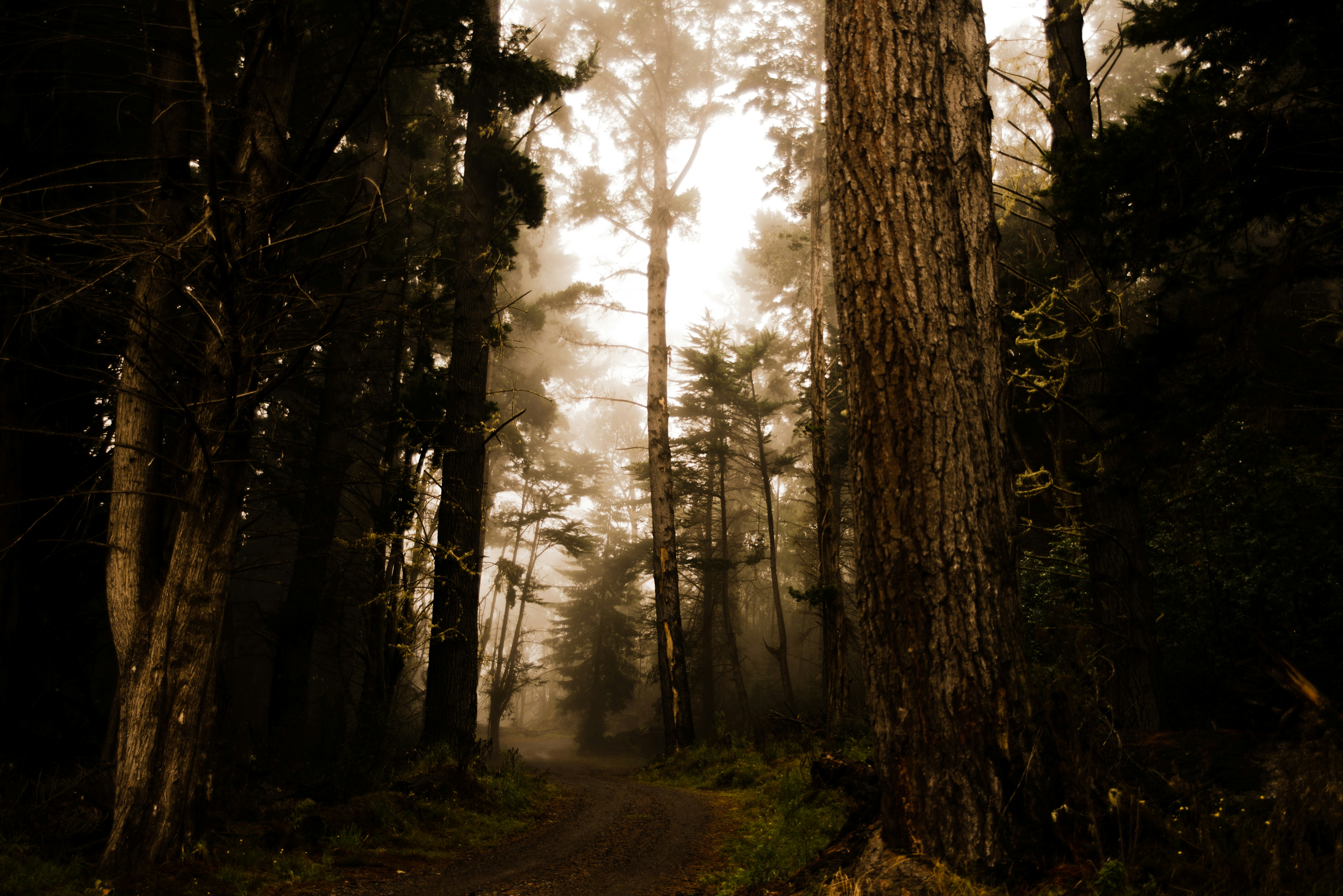 Free Unsplash photo from Bill Nichols