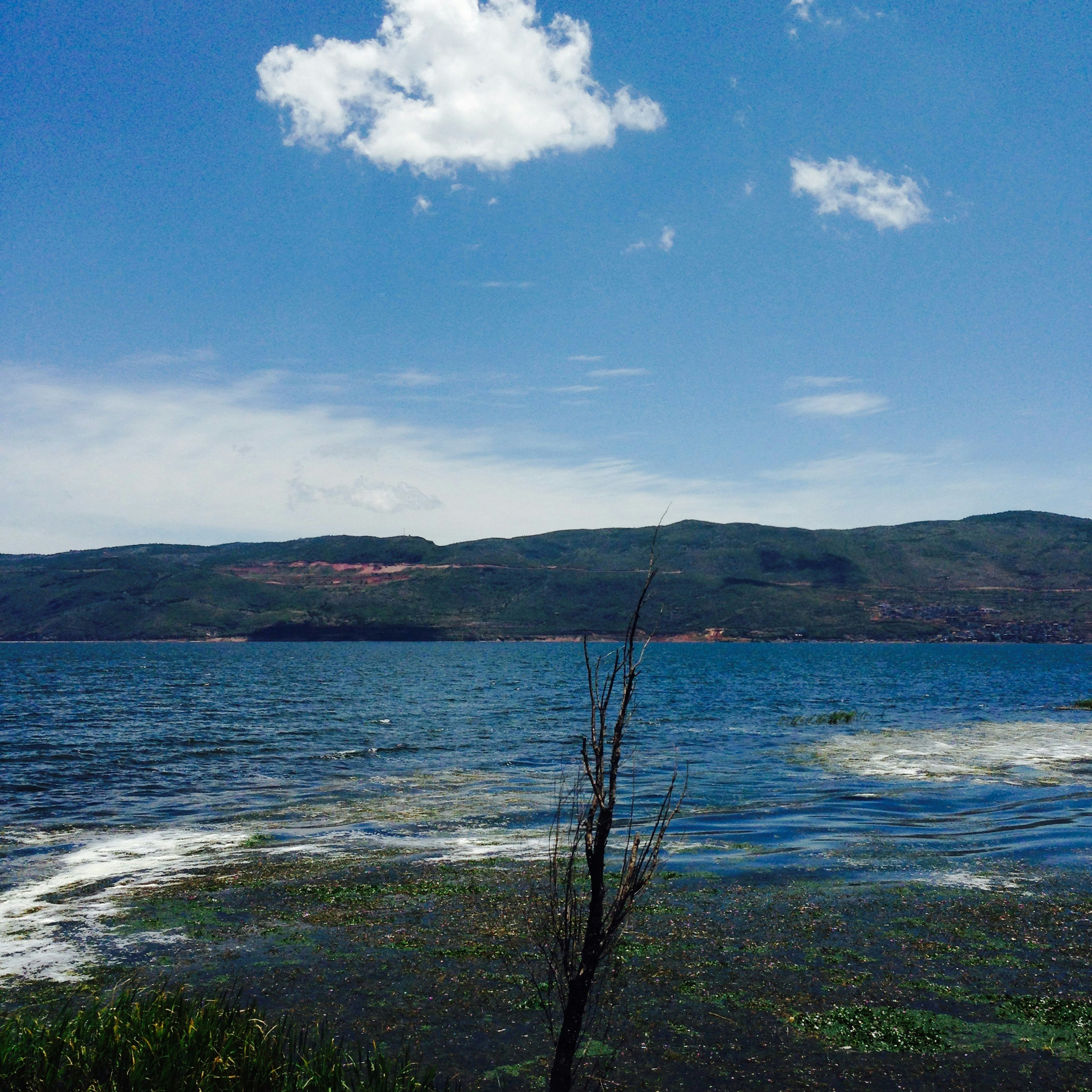 Free Unsplash photo from Kailam Tse