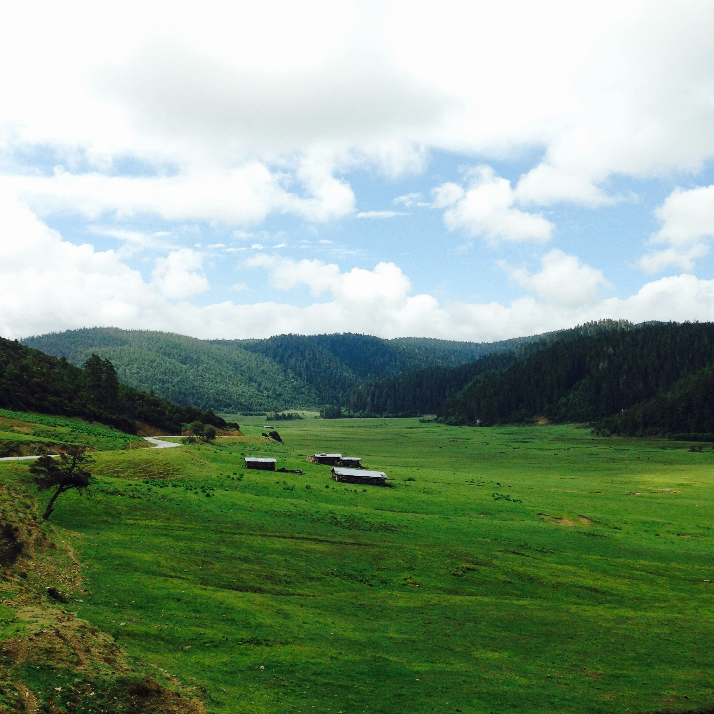 Free Unsplash photo from Kailam Tse