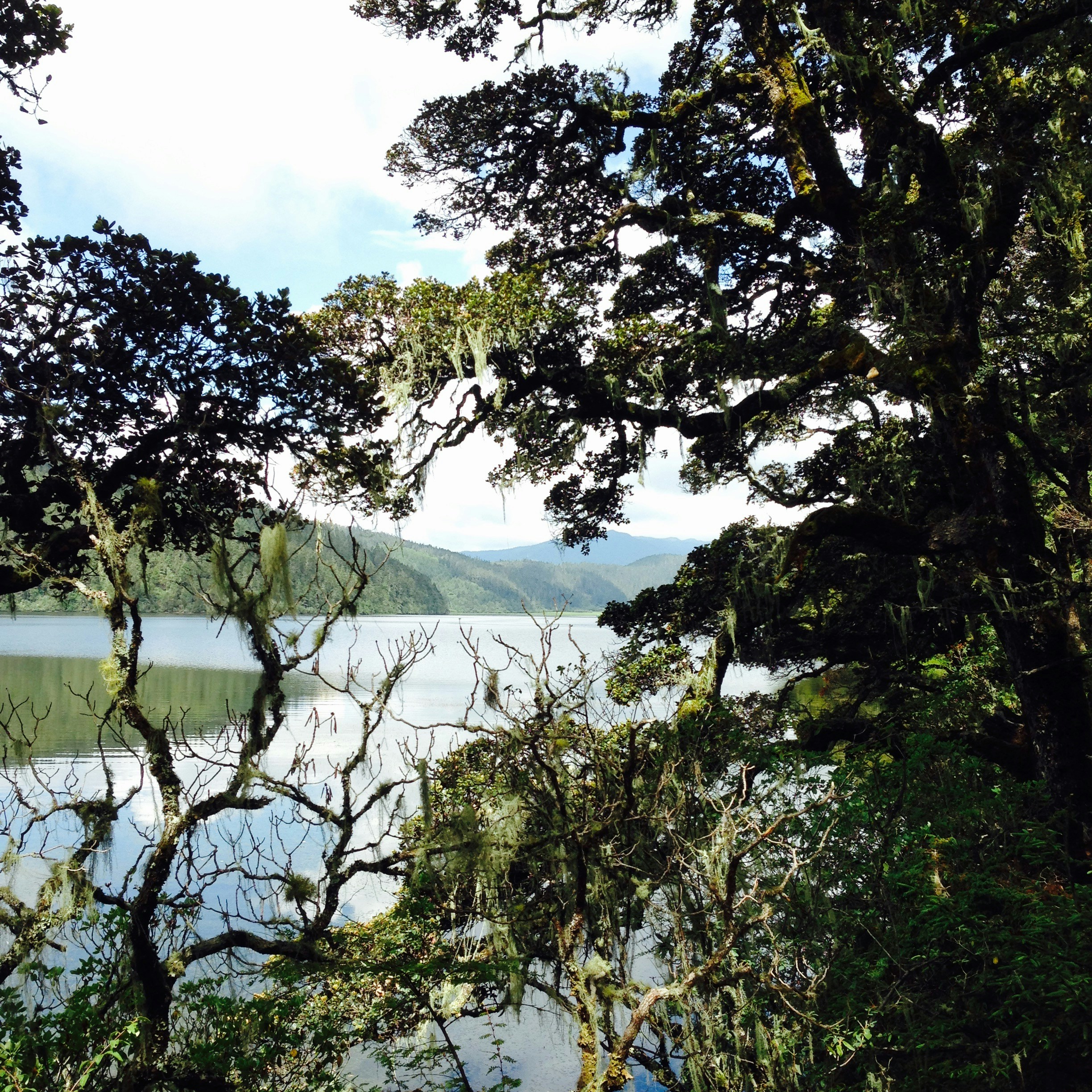 Free Unsplash photo from Kailam Tse