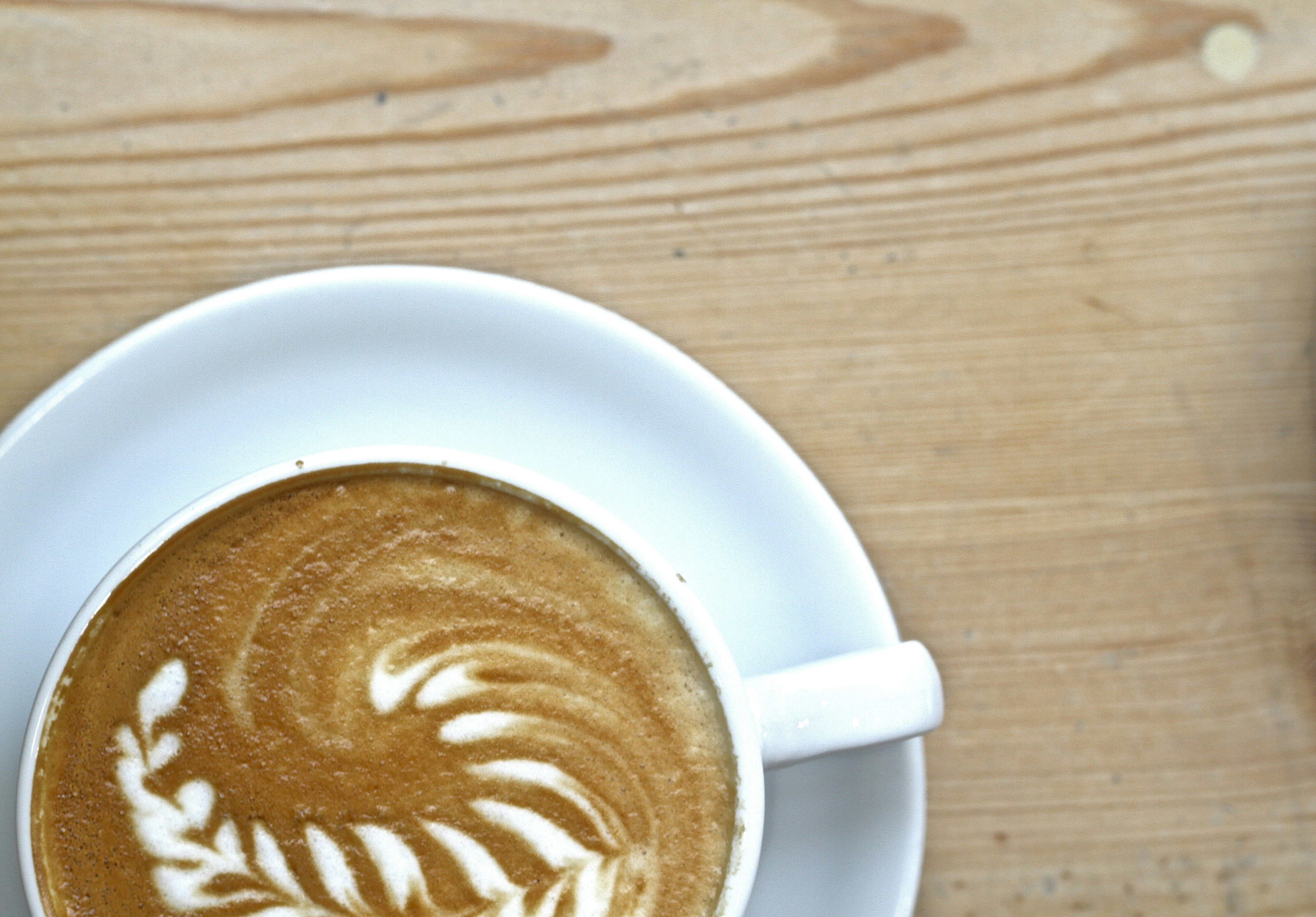 Free Unsplash photo from Gary  Blake