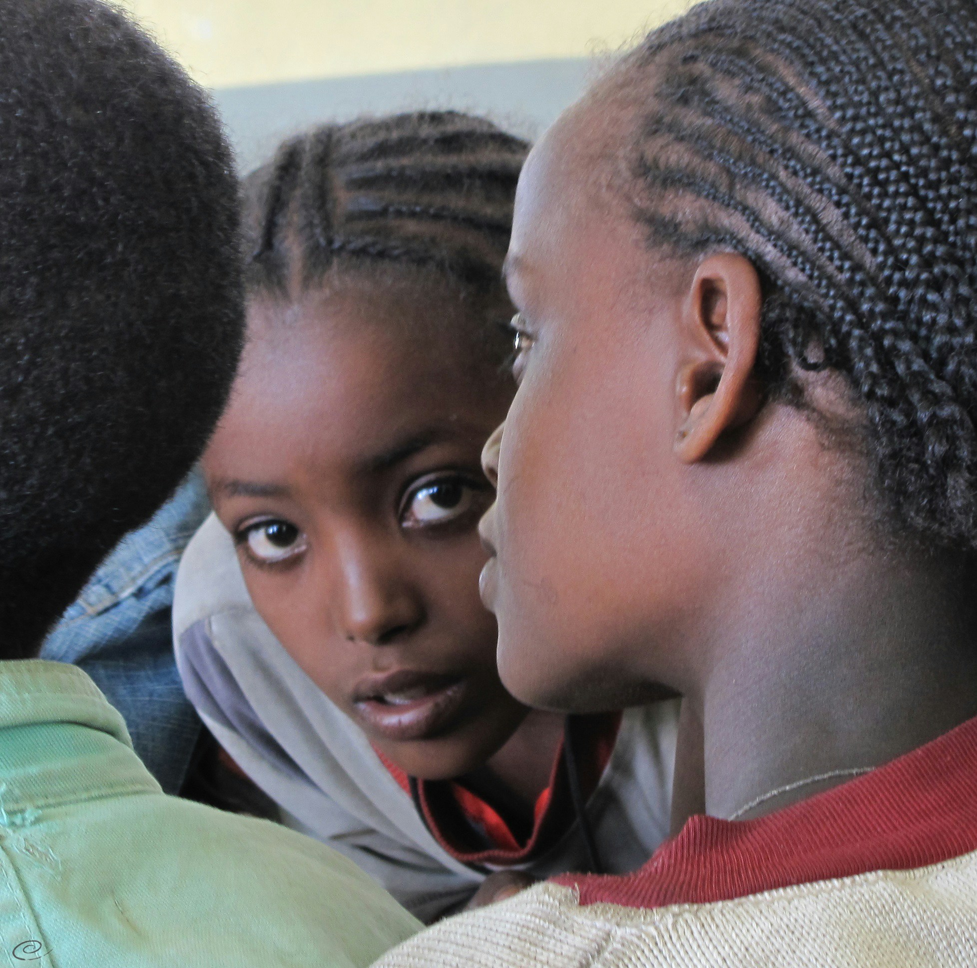 Free Unsplash photo from Alexandru Teodorescu