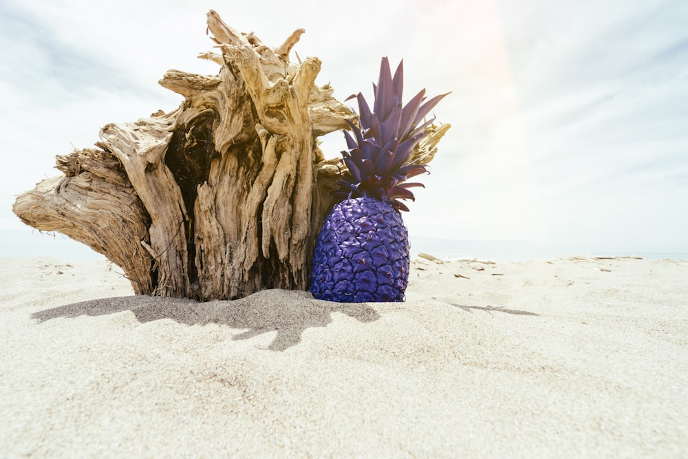 ananas violet à côté de l’artisanat en bois brun sur le sable pendant la journée