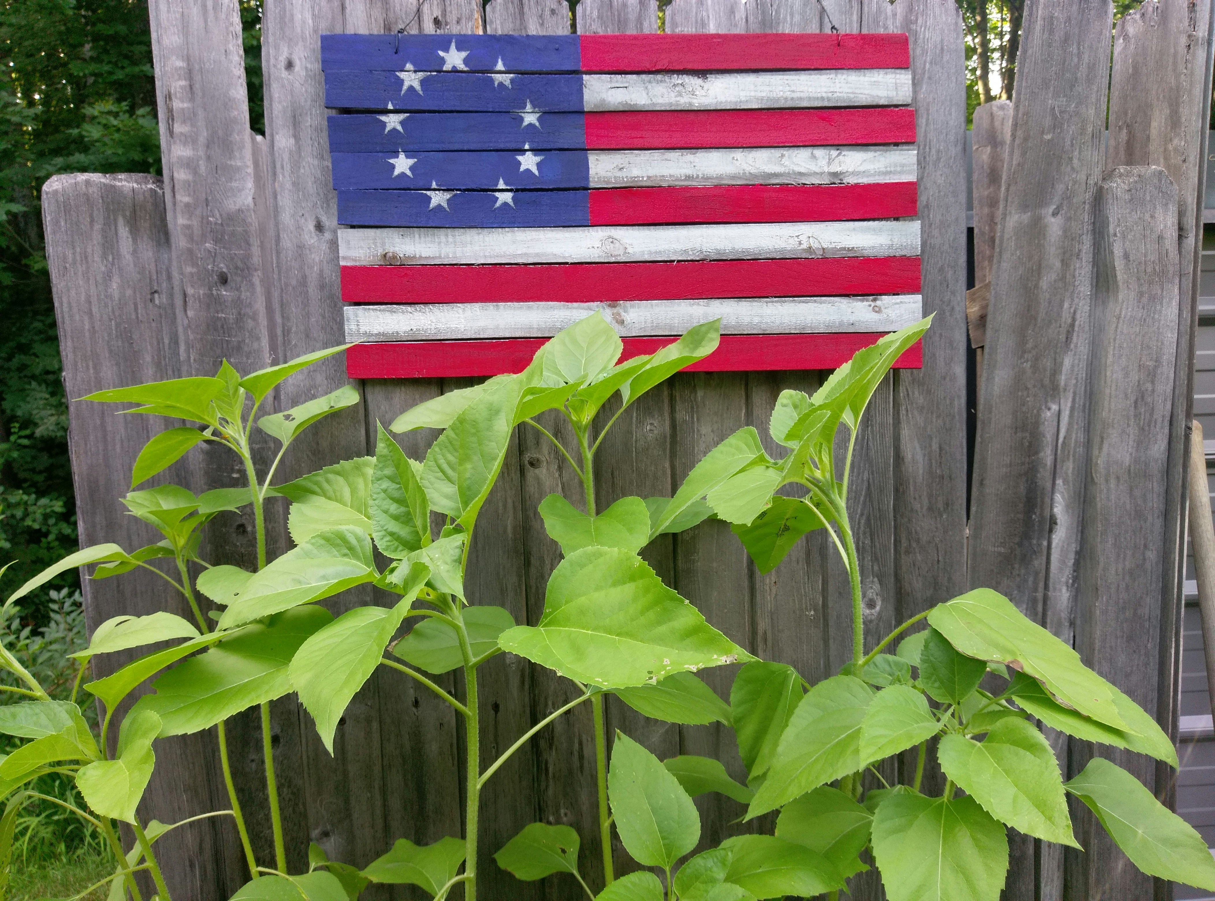 Free Unsplash photo from josh pimental