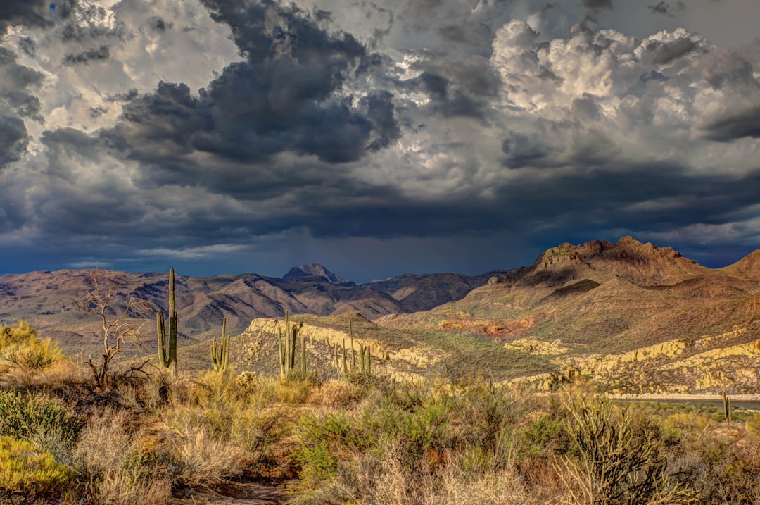 landscape photography of mountains, Arizona cacti
