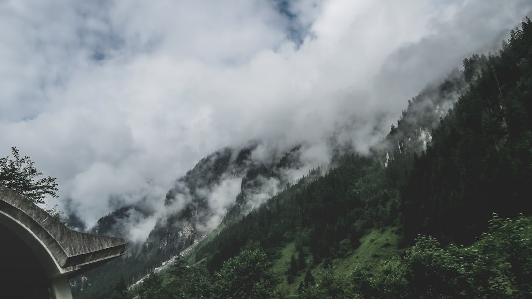 green trees on mountain under white clouds during daytime