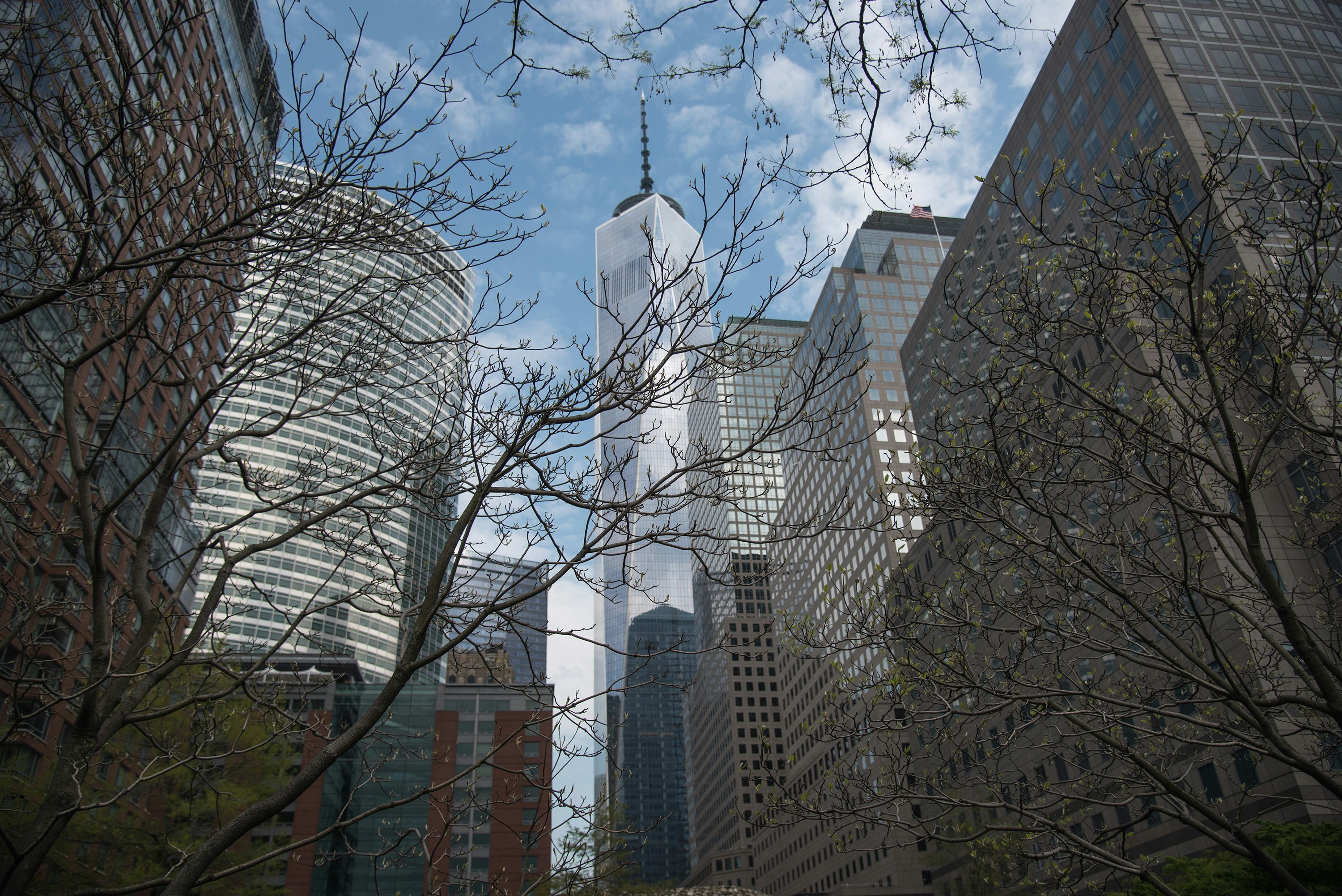 Free Unsplash photo from Jean Ramos