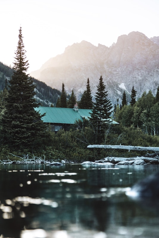 Lakeside Cabin in Forest - Brandon Morgan