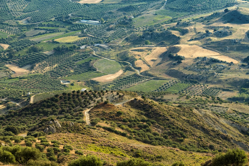 Luftaufnahmen von der grünen Wiese und den Bergen