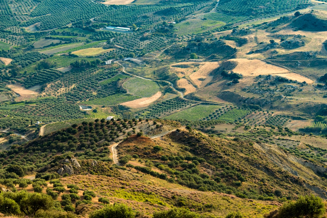 aerial photography of green field and mountain