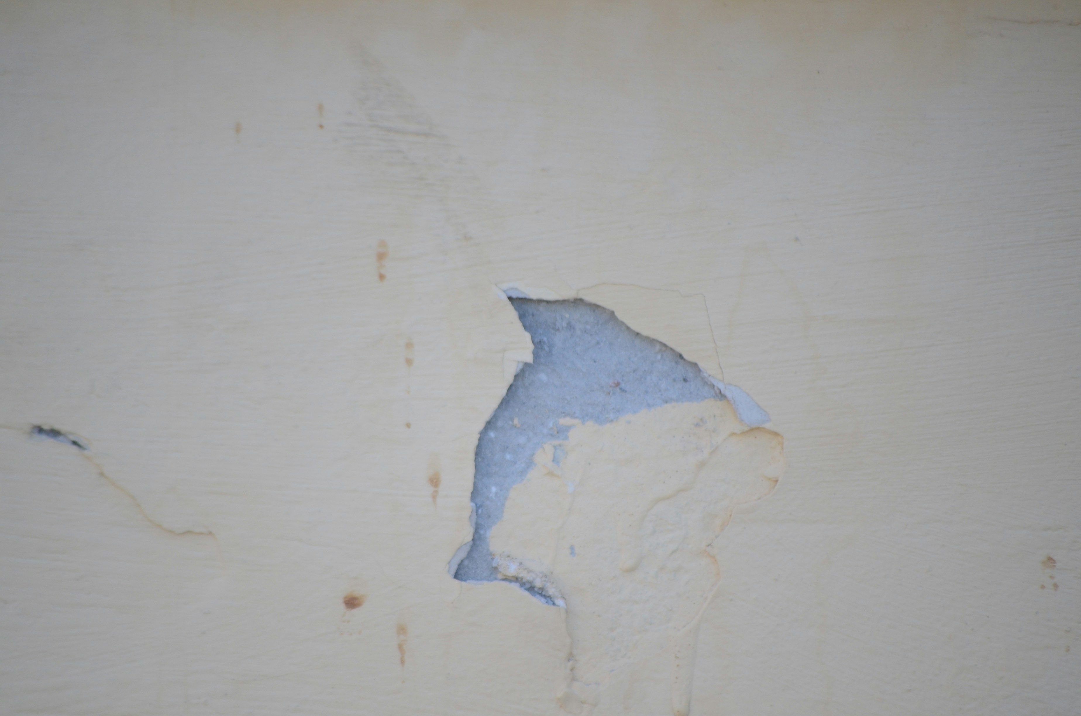 Free Unsplash photo from Aici Sha