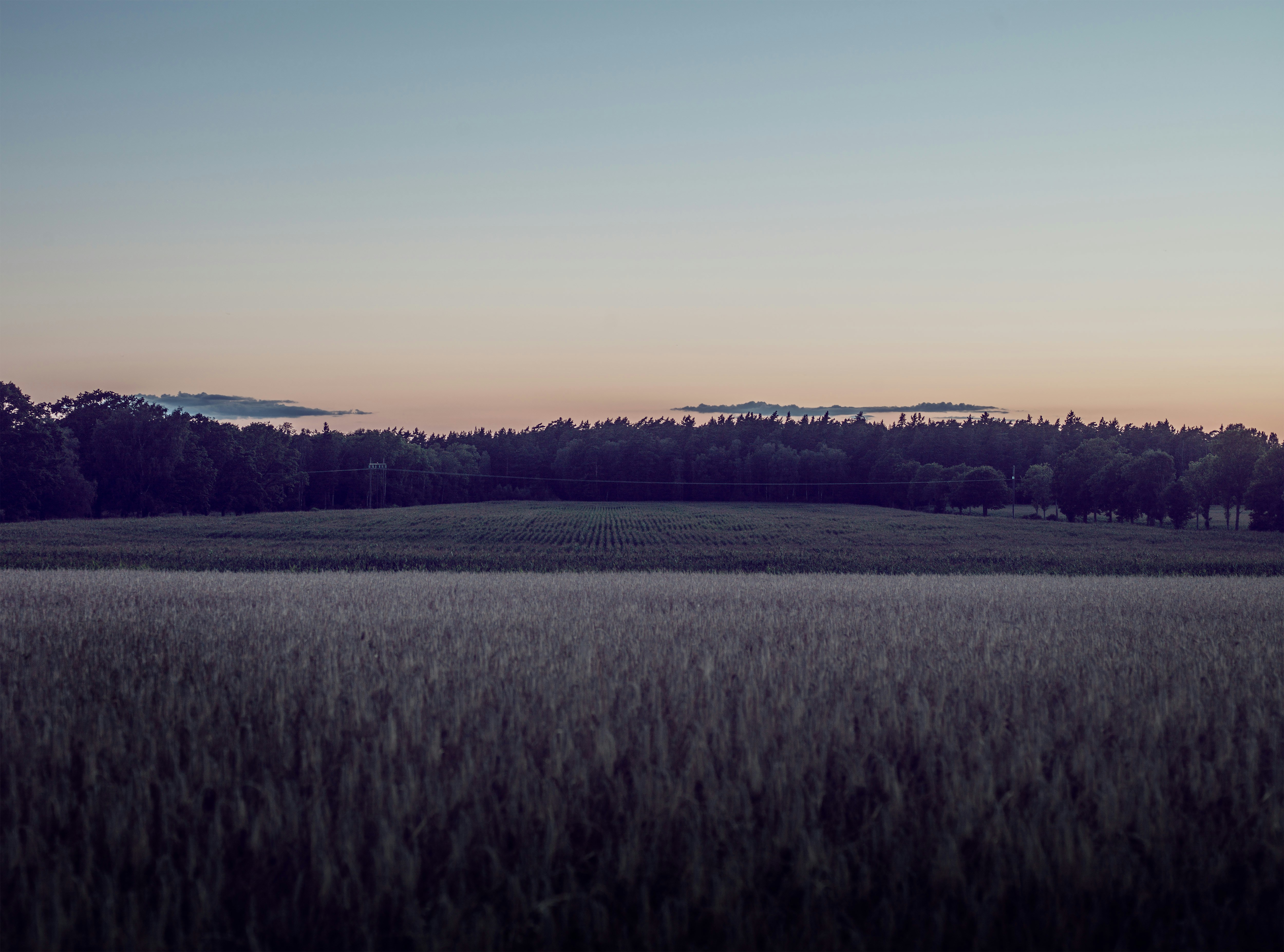 Free Unsplash photo from Johan Rydberg