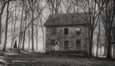 A desolate, eerie landscape features an old, dilapidated stone house surrounded by leafless trees. The atmosphere is foggy, adding to the ominous feel. A lone figure, cloaked in dark attire, stands near the trees, enhancing the mysterious vibe.