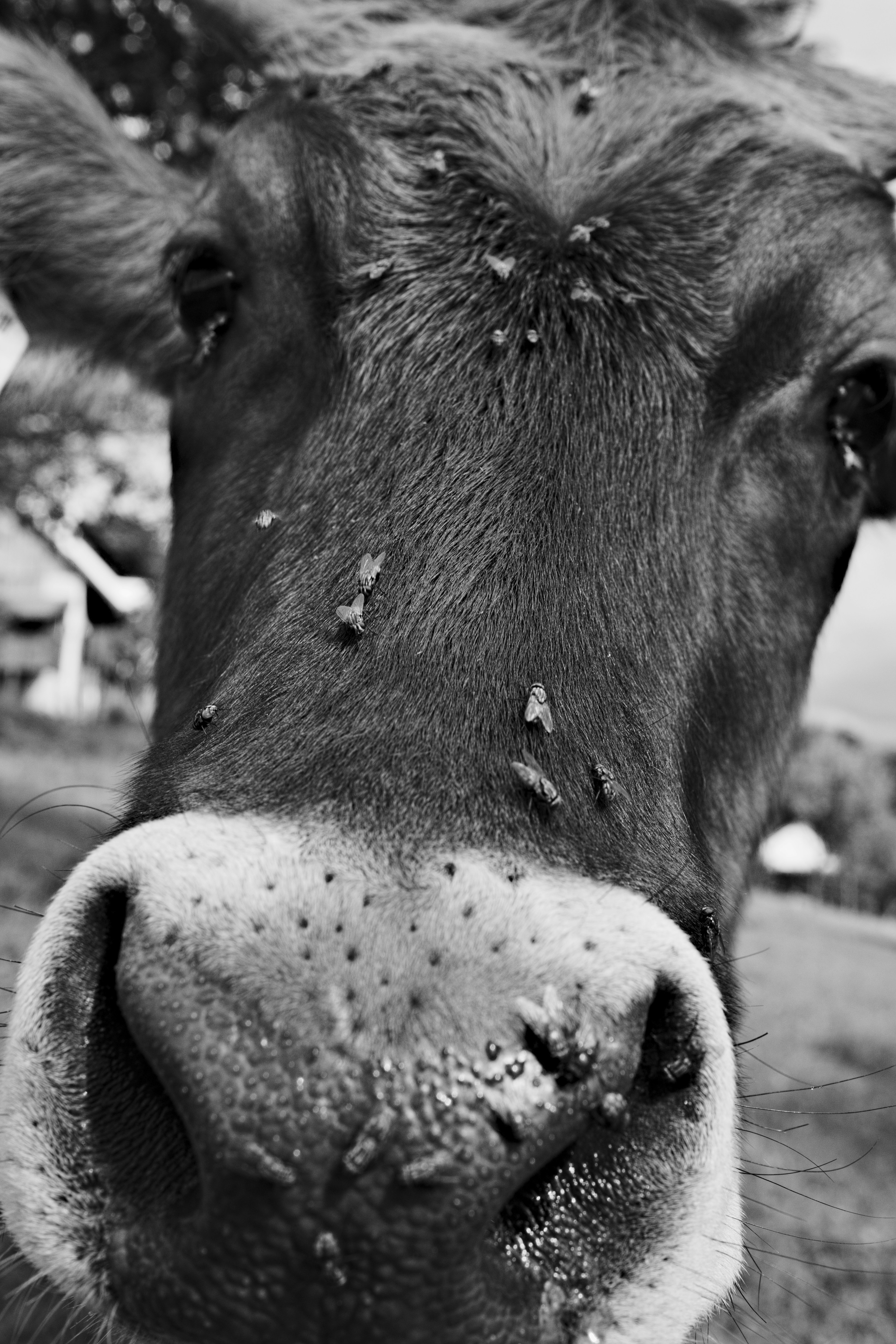 Free Unsplash photo from Martin Ferschmann